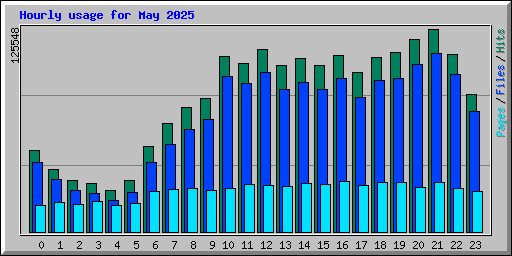 Hourly usage for May 2025