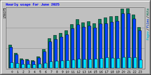 Hourly usage for June 2025