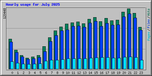 Hourly usage for July 2025