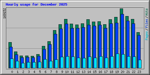 Hourly usage for December 2025