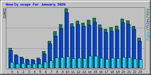 Hourly usage for January 2026