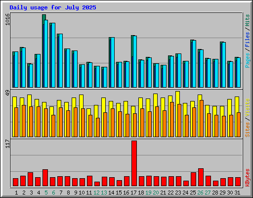 Daily usage for July 2025