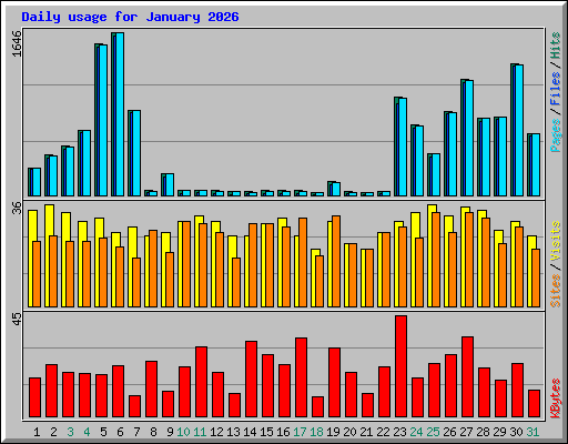 Daily usage for January 2026