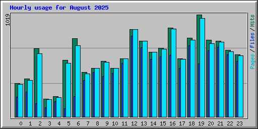 Hourly usage for August 2025