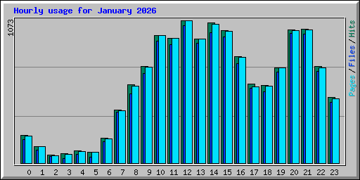 Hourly usage for January 2026