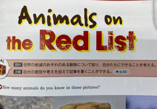 中学校 ３年生英語 英語で絶滅危惧種と言うのが面白い 長崎日本大学高等学校 中学校