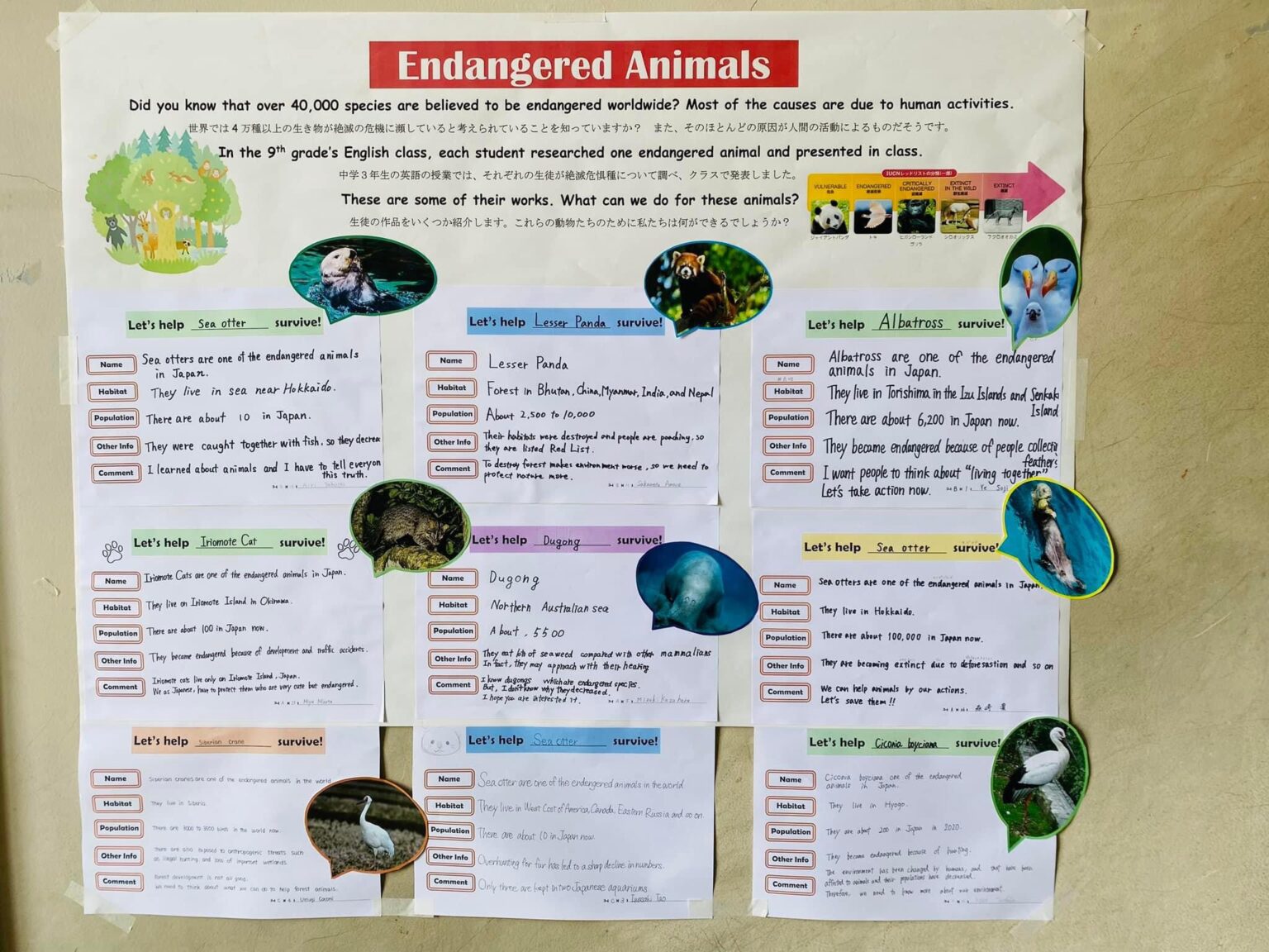 【中学校】3年生 英語「絶滅危惧種」 学んで、調べて、プレ …