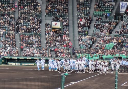 招き猫先生の『ことちか日記』Ｒ８　３／２２