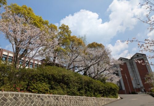 招き猫先生の『ことちか日記』Ｒ８　４／１～３