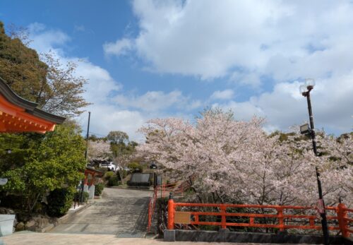 招き猫先生の『ことちか日記』Ｒ８　４／４・５