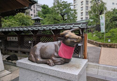 招き猫先生の『ことちか日記』Ｒ８　６／２５～２８